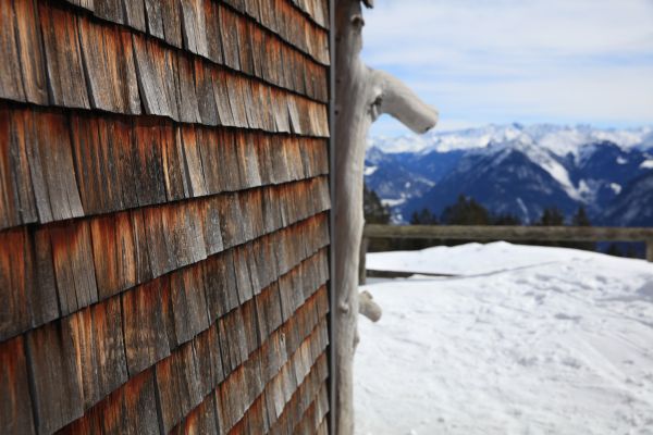Cedar Siding Repair in West Bend